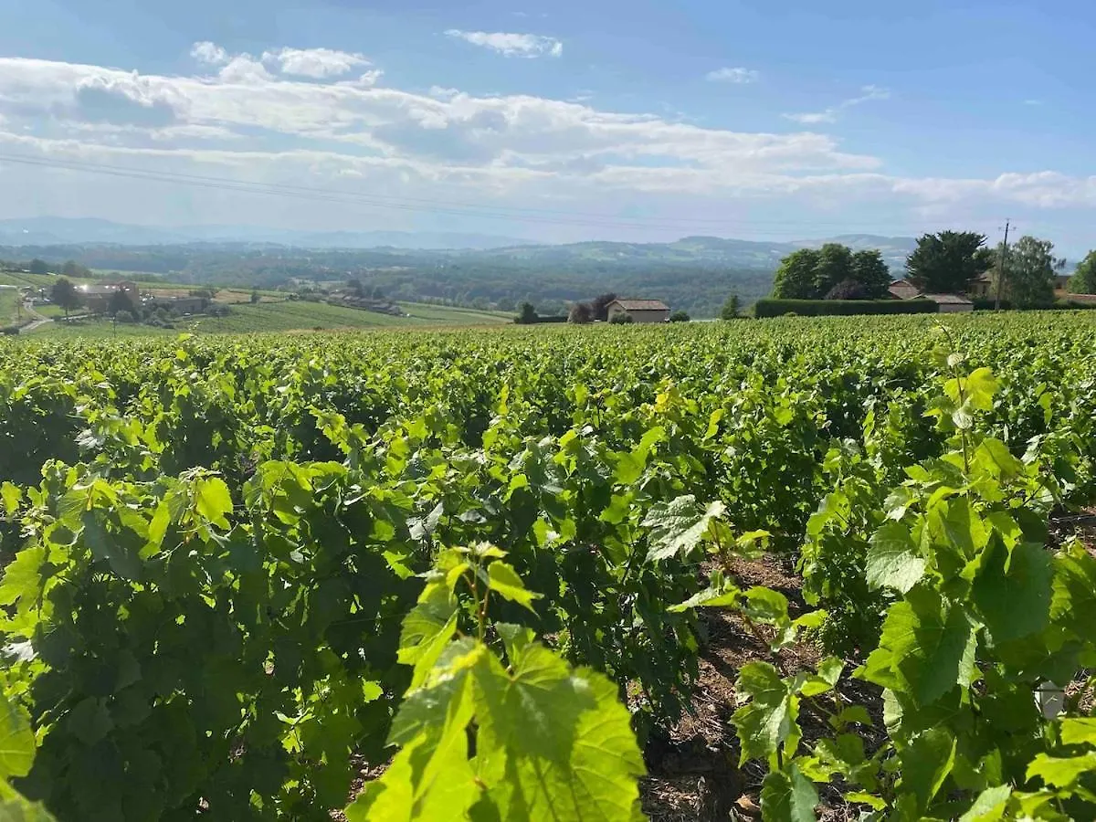 La Casa Doree Charnay  0*, Charnay (Rhone) France